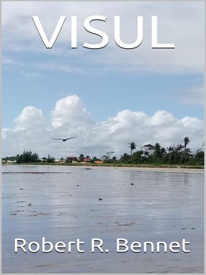 cover image of Visul
